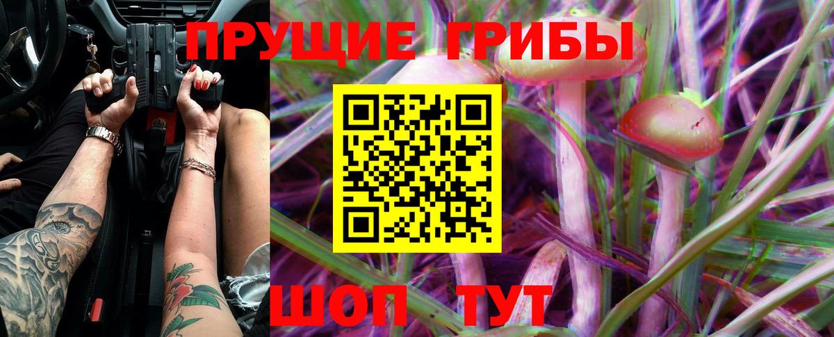 Псилоцибиновые грибы GOLDEN TEACHER Шарыпово