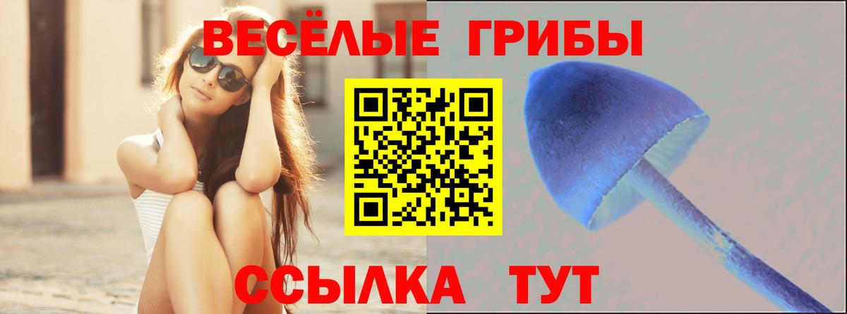 Псилоцибиновые грибы прущие грибы  Вход с VPN  Псилоцибиновые грибы Cubensis  Шарыпово 